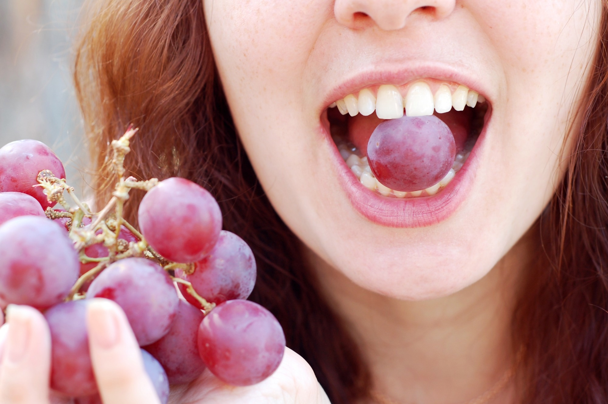 Study: Consumption of Grapes Modulates Gene Expression, Reduces Non-Alcoholic Fatty Liver Disease, and Extends Longevity in Female C57BL/6J Mice Provided with a High-Fat Western-Pattern Diet. Image Credit: EduardSV / Shutterstock