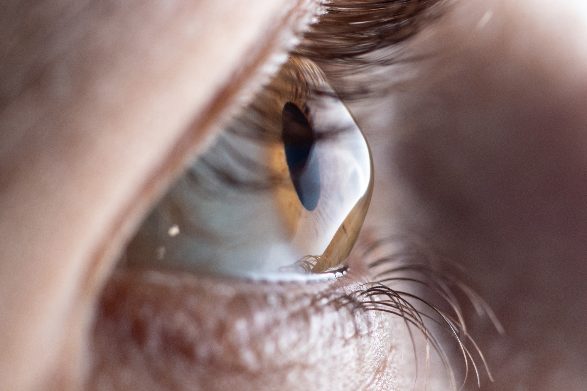 Étude : tissu cornéen bio-ingénierie pour la restauration de la vision peu invasive dans le kératocône avancé dans deux cohortes cliniques.  Crédit d'image : Garna Zarina/Shutterstock