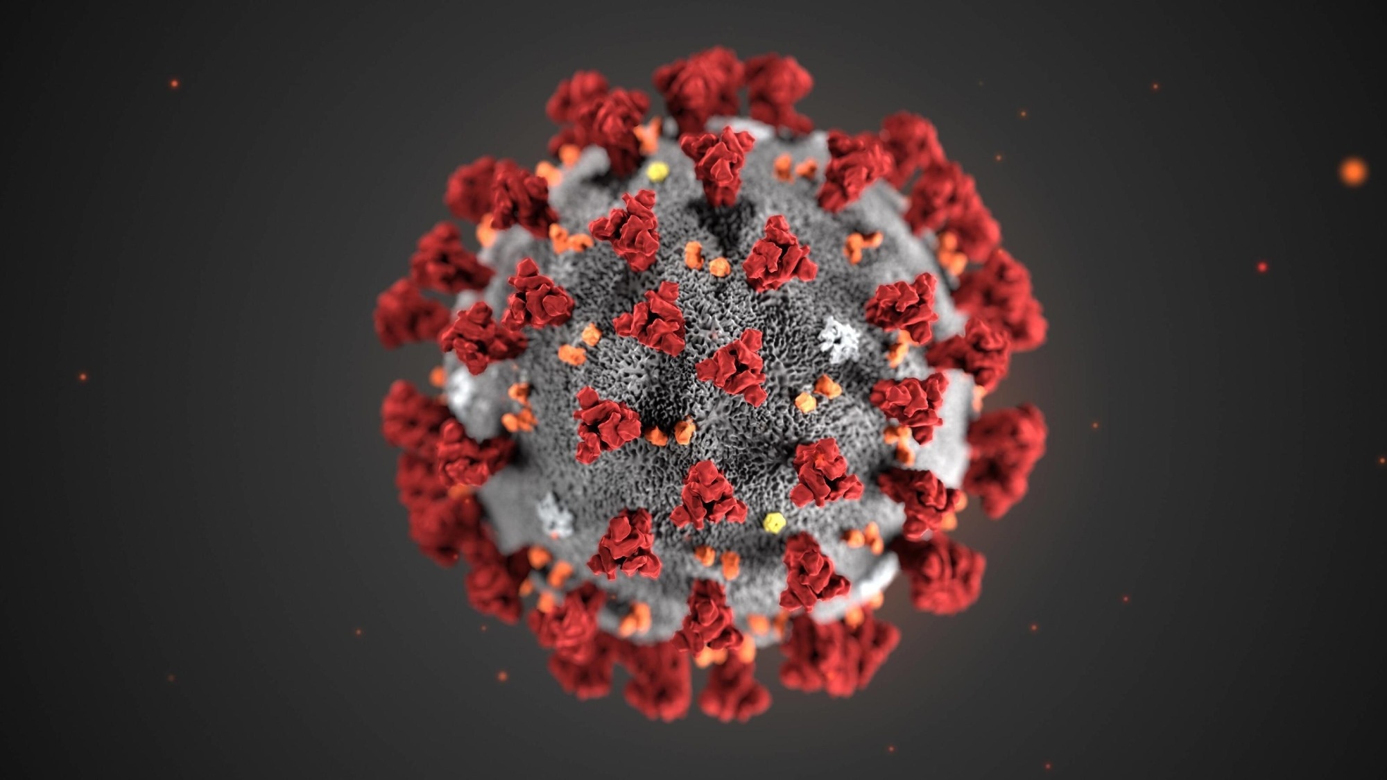 Study: A syntenin inhibitor blocks endosomal entry of SARS-CoV-2 and a panel of RNA viruses. Image Credit: artofvisionn/Shutterstock