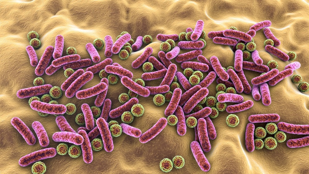 Study: Spotlight on the Gut Microbiome in Menopause: Current Insights. Image Credit: Christoph Burgsted / Shutterstock.com