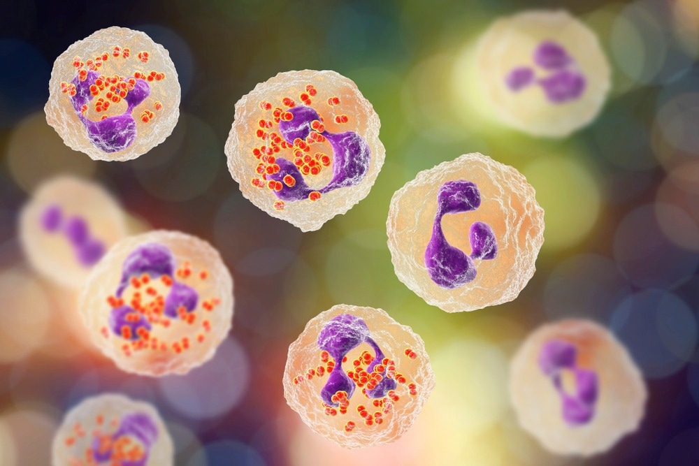 Study: Neutrophil proteomics identifies temporal changes and hallmarks of delayed recovery in COVID19. Image Credit: Kateryna Kon / Shutterstock.com
