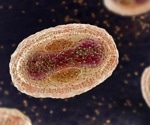 Researchers propose a novel, non-discriminatory classification of the monkeypox virus