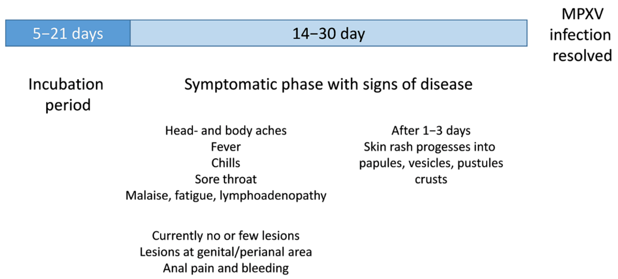 Schematic illustration of clinical signs of a MPXV infection