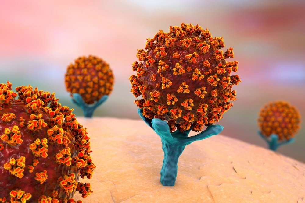 Study: Receptor binding domain (RBD) antibodies contribute more to SARS-CoV-2 neutralization when target cells express high levels of ACE2. Image Credit: Kateryna Kon/Shutterstock