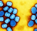 Impact of vaccinia virus-based vaccines on the 2022 monkeypox virus outbreak