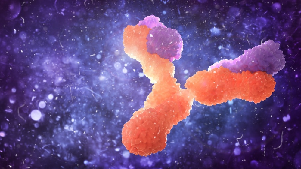 Study: Novel monoclonal antibodies showing broad neutralizing activity for SARS-CoV-2 variants including Omicrons BA.5 and BA.2.75. Image Credit: vipman/Shutterstock