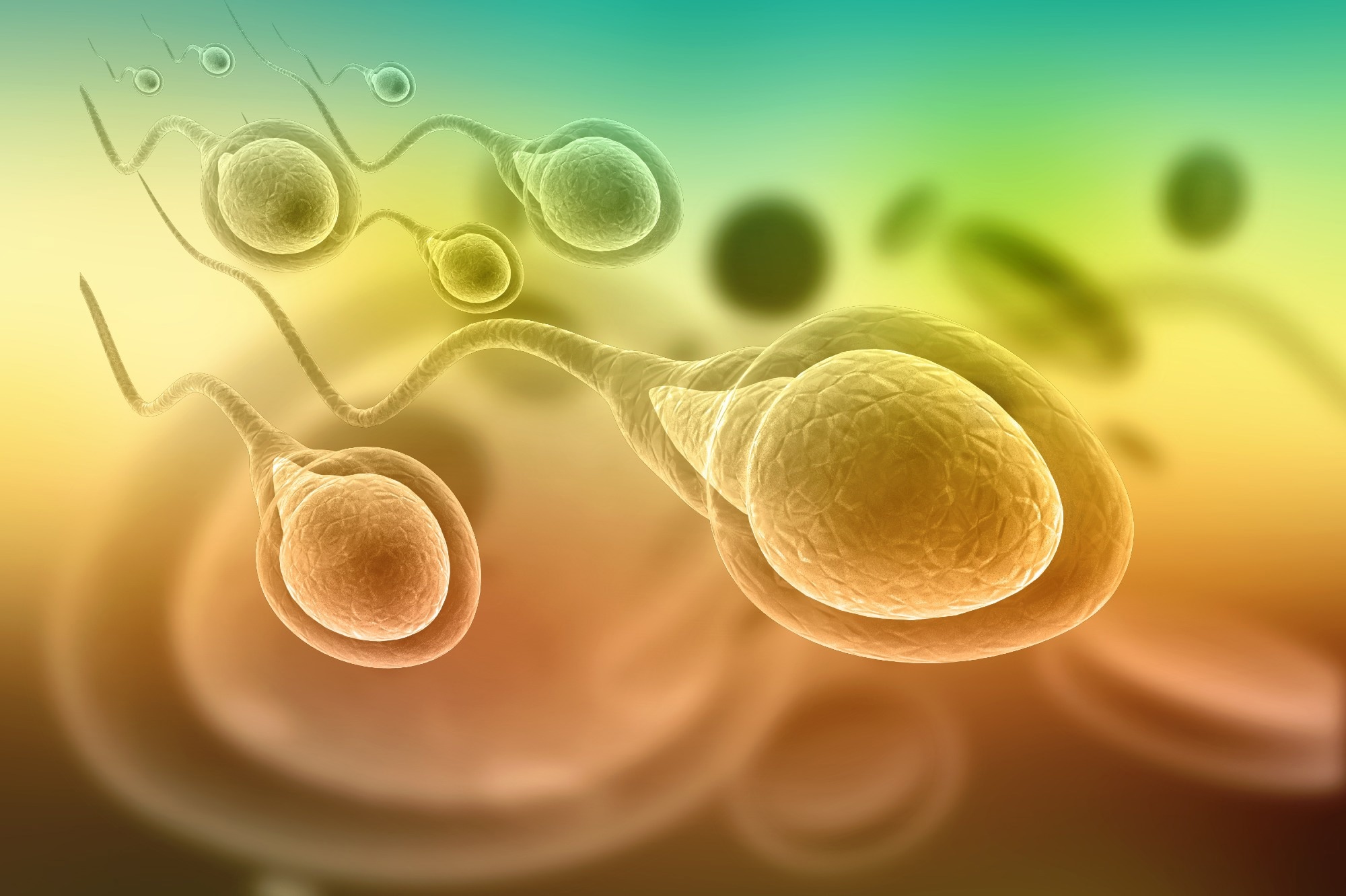 Review: The Possible Role of SARS-CoV-2 in Male Fertility: A Narrative Review. Image Credit: WHITE MARKERS / Shutterstock