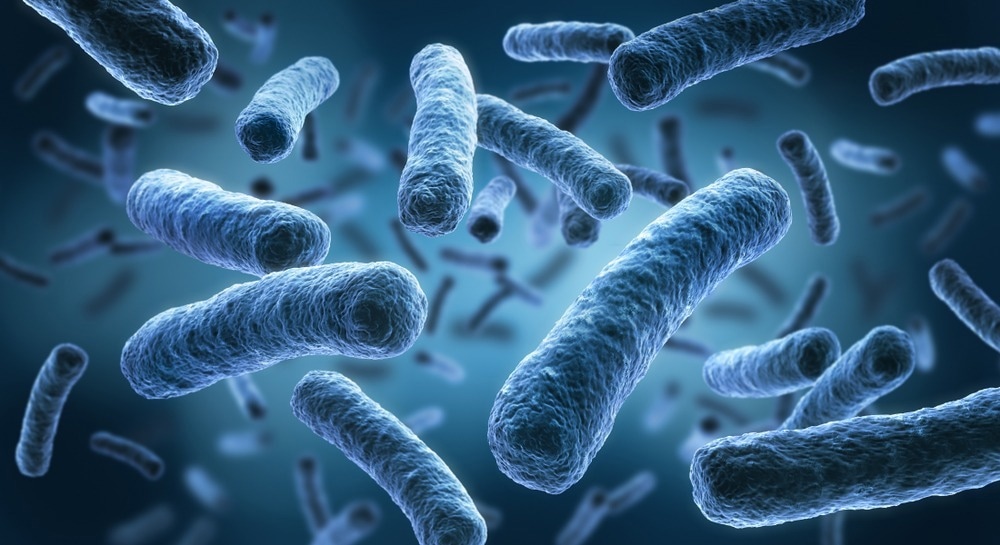 How can Legionella pneumophila transmit through the hot water plumbing of residences and office buildings? – News-Medical.Net