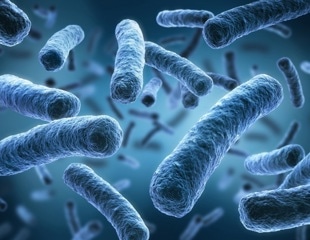 How can Legionella pneumophila transmit through the hot water plumbing of residences and office buildings?