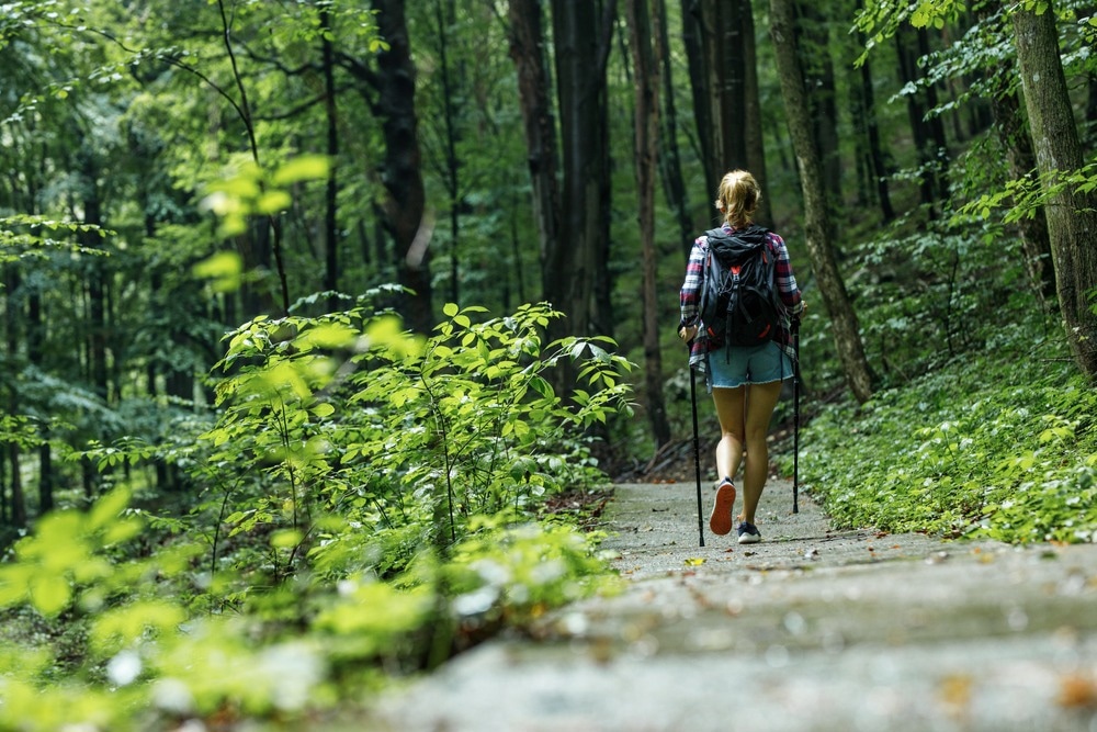 Study: How nature nurtures: Amygdala activity decreases as the result of a one-hour walk in nature. Image Credit: BalanceFormCreative/Shutterstock