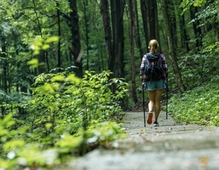 How does a walk in nature impact the brain?