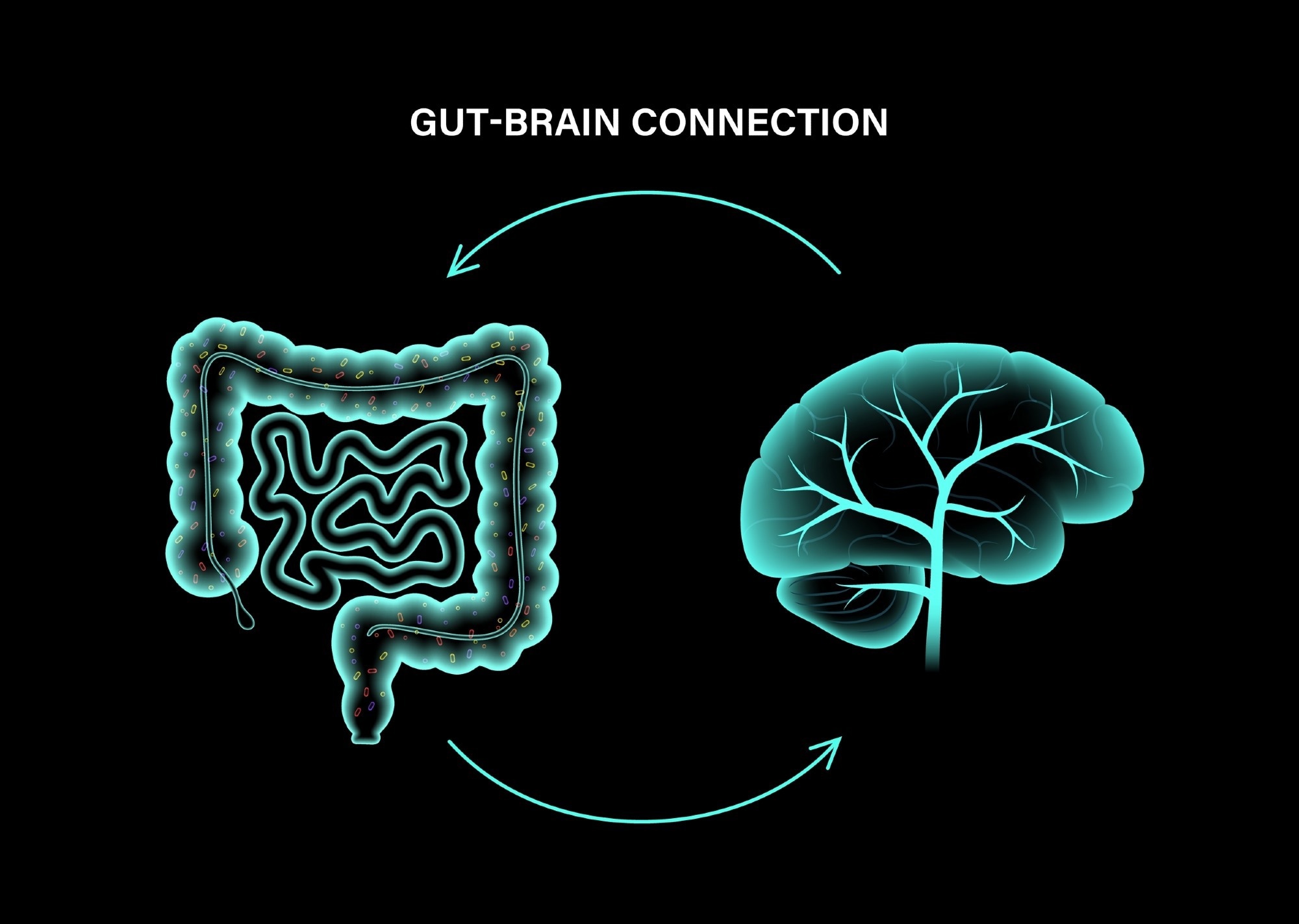 Study: Gut-Brain Circuits for Fat Preference. Image Credit: Pikovit / Shutterstock