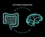 Study reveals gut-brain circuits drive cravings for fatty foods