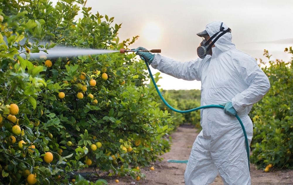 Study: Pesticide Exposure and Child Growth in Low- And Middle-Income Countries: A Systematic Review. Image Credit: David Moreno Hernandez / Shutterstock.com