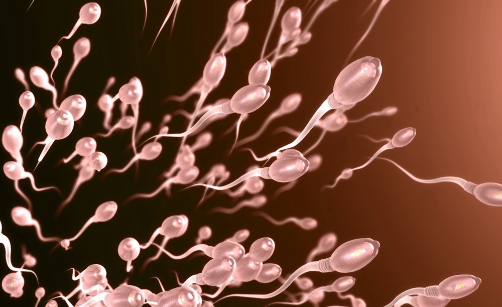 مطالعه: تغییرات متیلاسیون DNA اسپرم ناشی از قرار گرفتن در معرض عصاره شاهدانه در فرزندان مشهود است.  اعتبار تصویر: کریستوف بورگستت/شاتراستوک