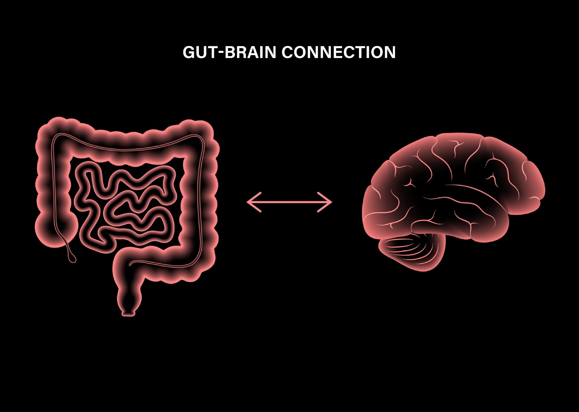 Étude : Alimentation et axe microbiote-intestin-cerveau : une base pour la nutrition clinique.  Crédit d'image : Pikovit/Shutterstock