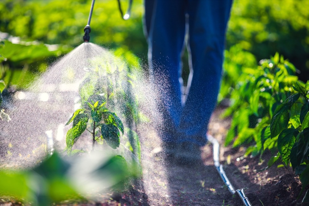 Study: How pesticides affect neonates? - Exposure, health implications and determination of metabolites. Image Credit: Valentin Valkov/Shutterstock