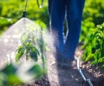 What are the effects of pesticides on neonates' health?