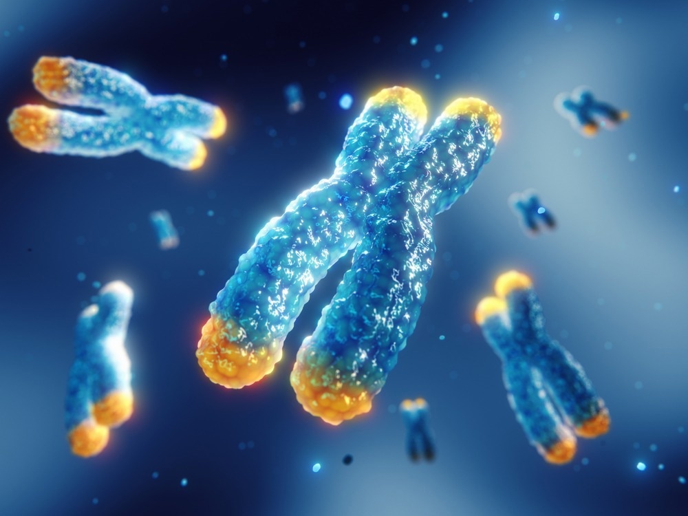 Study: The alternative lengthening of telomeres mechanism jeopardizes telomere integrity if not properly restricted. Image Credit: nobeastsofierce/Shutterstock