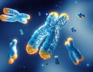 Study finds telomeres can set damage thresholds for cancer cells above which they cannot continue to divide