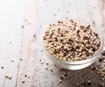 Quinoa-based diet stabilizes blood sugar in older adults