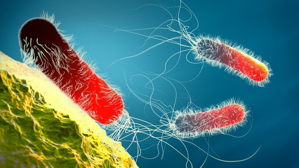 مطالعه: پپتید مهندسی شده PLG0206 بر محدودیت های یک کلاس دارویی ضد میکروبی چالش برانگیز غلبه می کند.  اعتبار تصویر: Christoph Burgstedt / Shutterstock.com