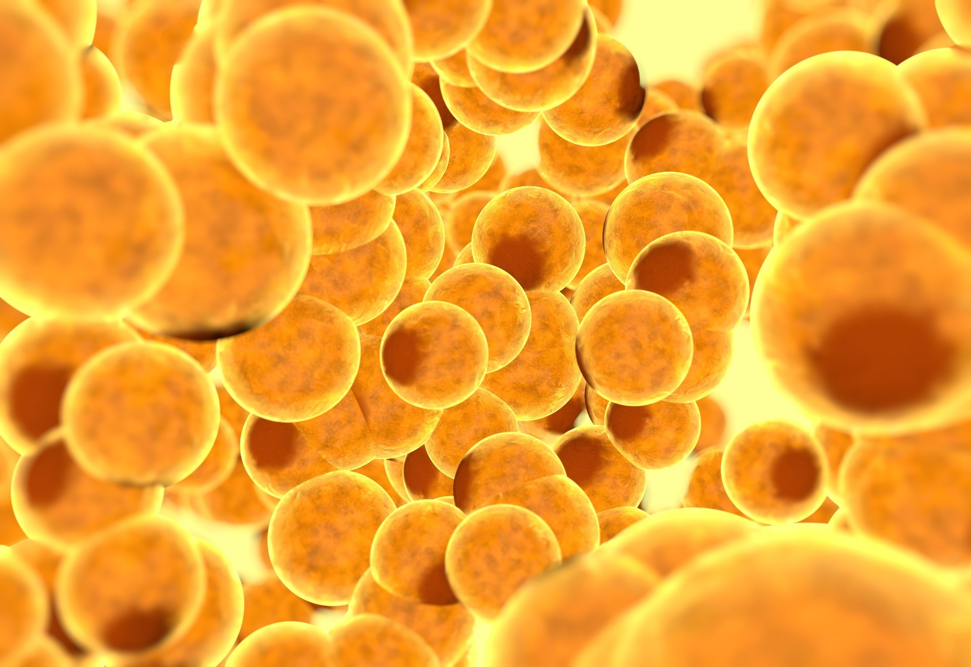 Study: SARS-CoV-2 infection drives an inflammatory response in human adipose tissue through infection of adipocytes and macrophages. Image Credit: Pavel Chagochkin/Shutterstock