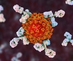 Researchers uncover a new way the immune system detects coronavirus infection