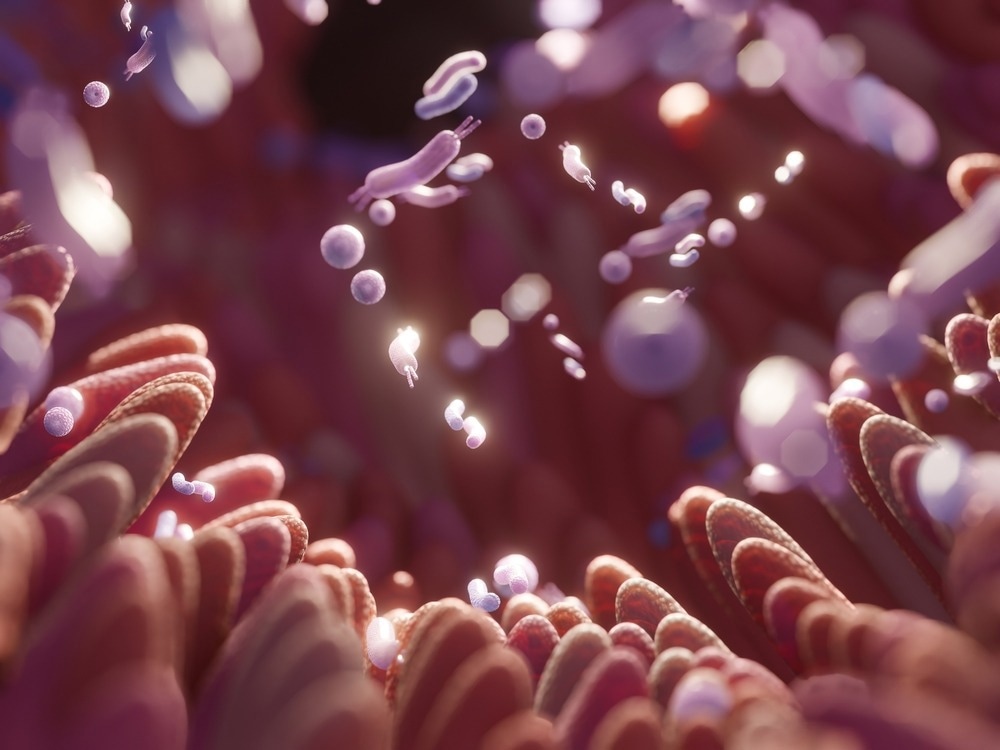 Study: Bile Acids: Major Regulator of the Gut Microbiome. Image Credit: Troyan / Shutterstock.com