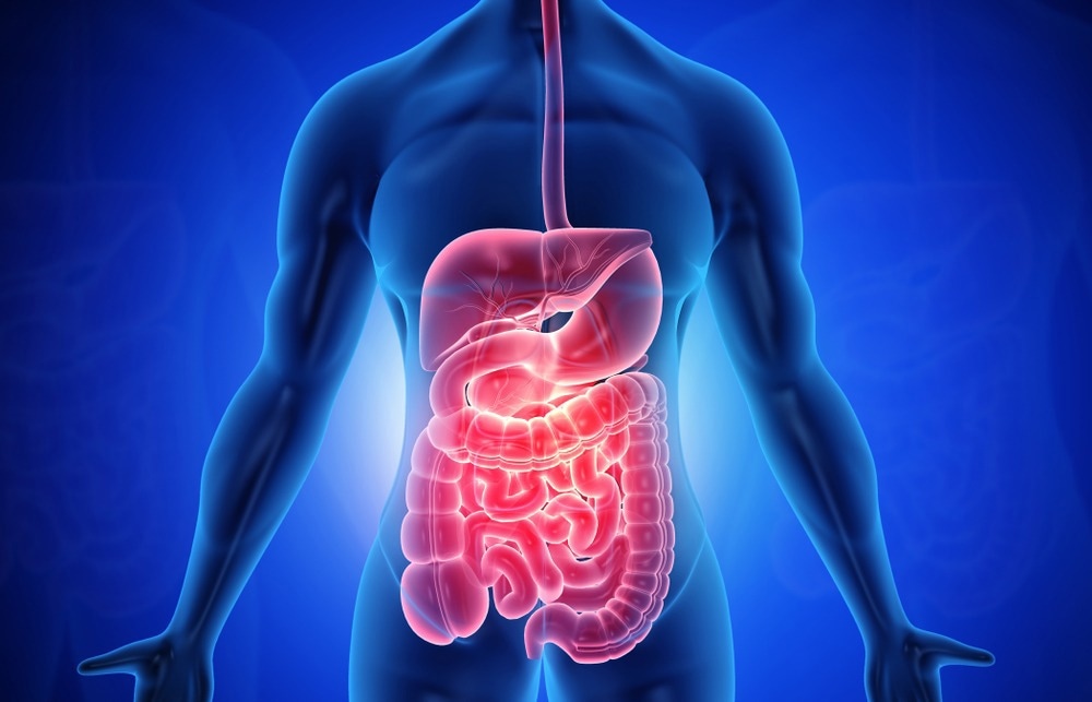 Study: Gut as an Alternative Entry Route for SARS-CoV-2: Current Evidence and Uncertainties of Productive Enteric Infection in COVID-19. Image Credit: Explode/Shutterstock