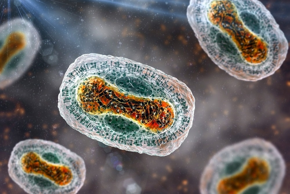 Study: Sequencing of Monkeypox virus from infected patients reveals viral genomes with APOBEC3-like editing, gene inactivation, and bacterial agents of skin superinfection. Image Credit: Kateryna Kon/Shutterstock