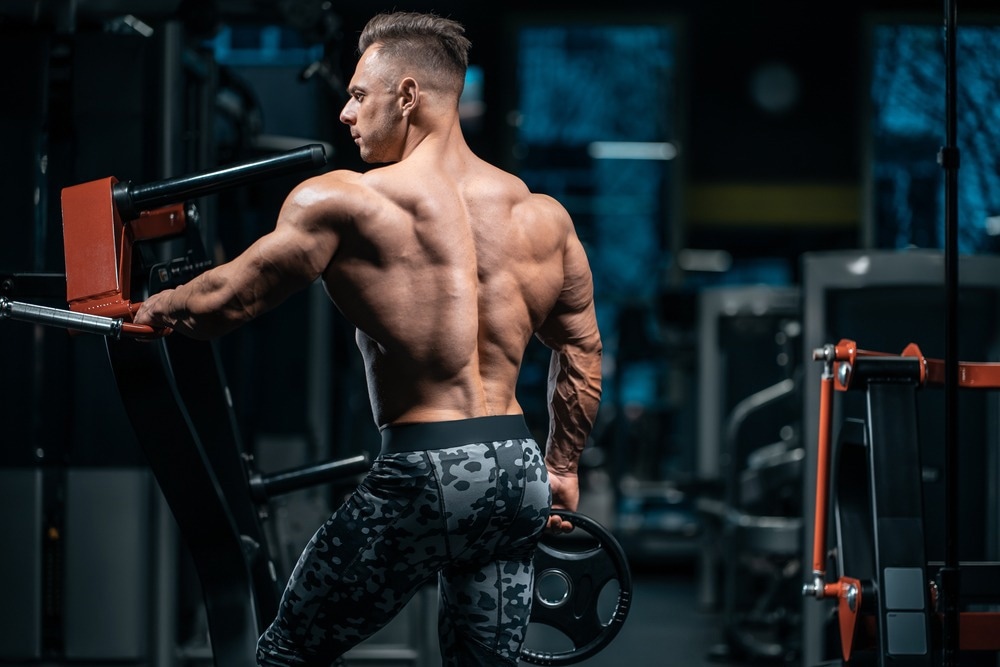 Study: Intersection of Diet and Exercise with the Gut Microbiome and Circulating Metabolites in Male Bodybuilders: A Pilot Study. Image Credit: Goami/Shutterstock