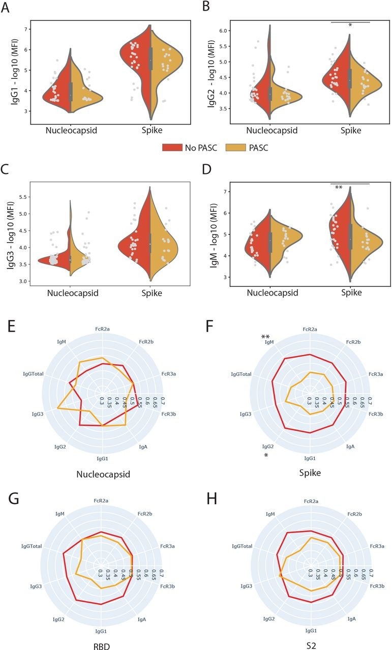SARS-CoV-2 Spike directed responses are lower in individuals who experienced. (A, B, C, D) The violin plots show the IgG1, IgG2, IgA1, and IgM titer against SARS-CoV-2 Nucleocapsid (N) and Spike, in individuals who experienced PASC (yellow) and those who did not (red). Significance was determined by a two-sided Mann-Whitney U test. (E, F, G, H) The radar plots show the mean percentile rank of antibody titers and Fc receptor (FcR)-binding against Nucleocapsid, Spike (Full Spike, RBD and S2 domain) and for individuals who experienced PASC (Yellow) and those who did not (Red). Significance was determined by a two-sided Mann-Whitney U test. * p = 0.05, p < ** 0.05