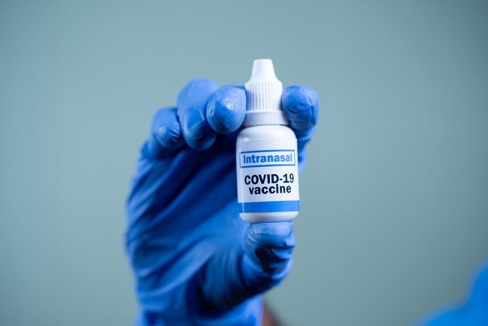 مطالعه: تحویل داخل بینی واکسن ویروس آنفلوانزای حذف شده با NS1 وکتور COVID-19 پاسخ التهابی SARS-CoV-2 را مهار می کند.  اعتبار تصویر: WESTOCK PRODUCTIONS/Shutterstock