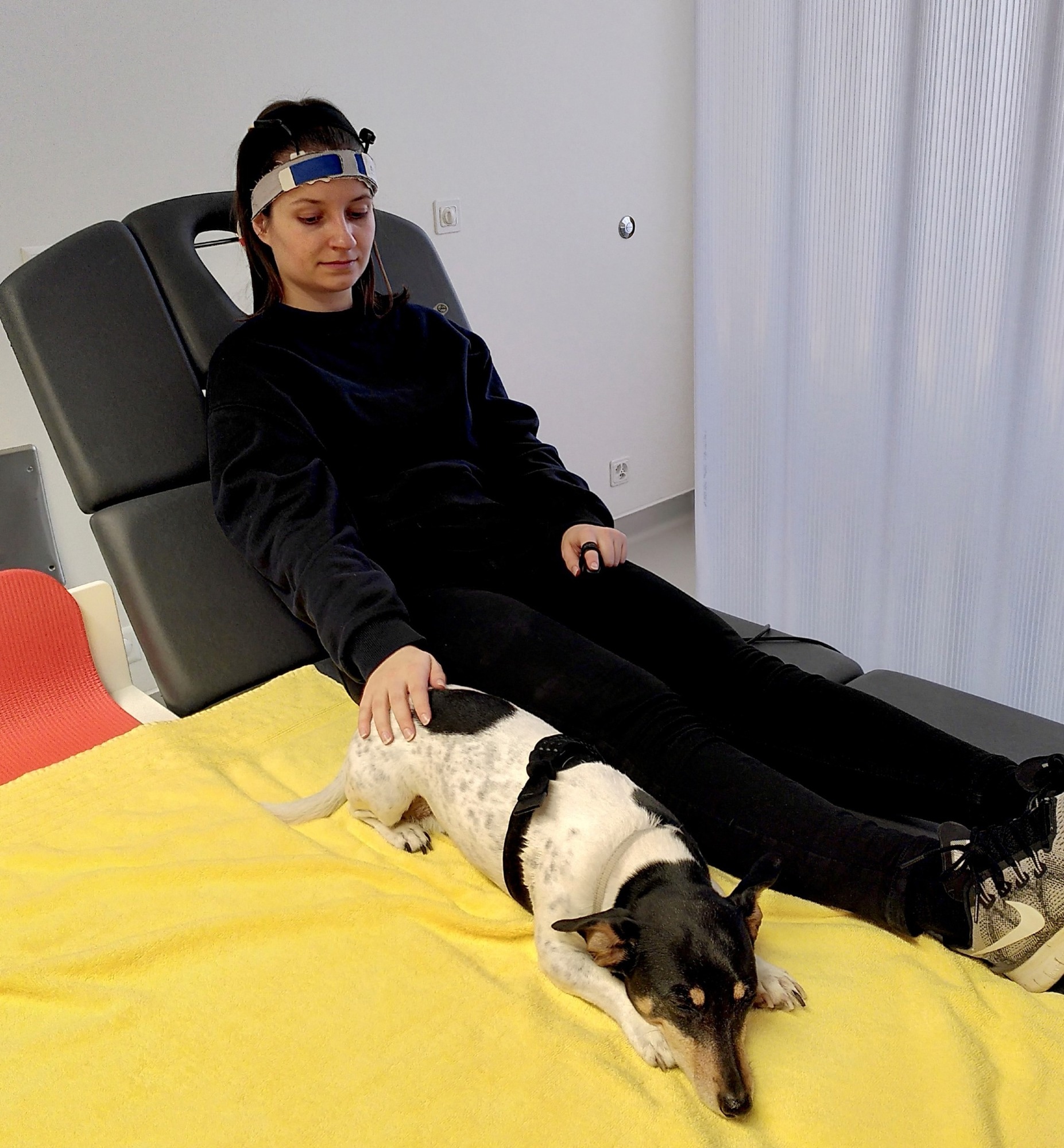 Using neuroimaging to investigate how petting dogs could help clinicians  improve animal-assisted therapy