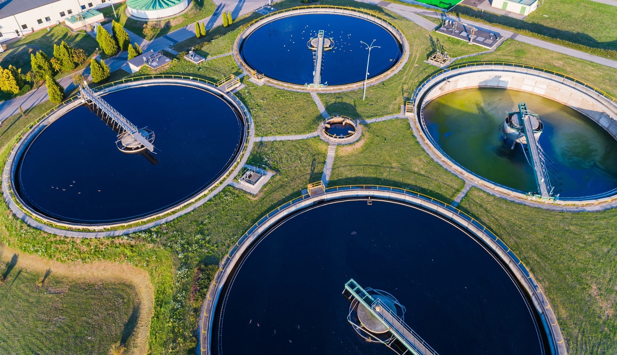 Study: Nationwide Public Perceptions Regarding Acceptance of Wastewater Use for Community Health Monitoring in the United States.  Image credit: Daniel Jedzura / Shutterstock