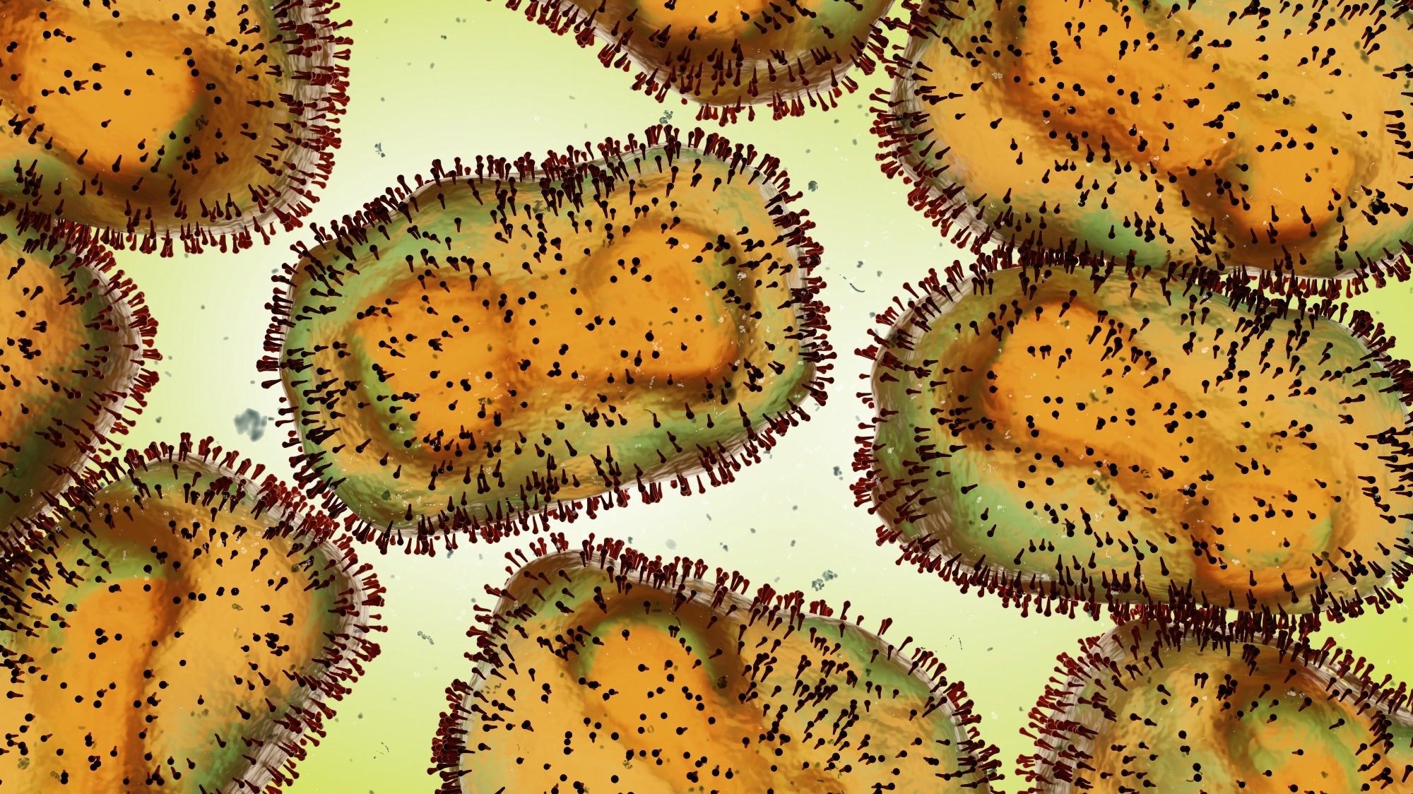 The study: A bioinformatics approach to a systematic analysis of molecular patterns of monkeypox virus-host cell interactions.  Image Credit: Dotted Yeti / Shutterstock