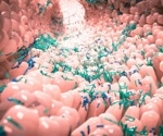 Examining how pain could play a direct protective role in the gut