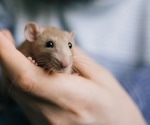 SARS-CoV-2 transmission from infected owner to pet rats