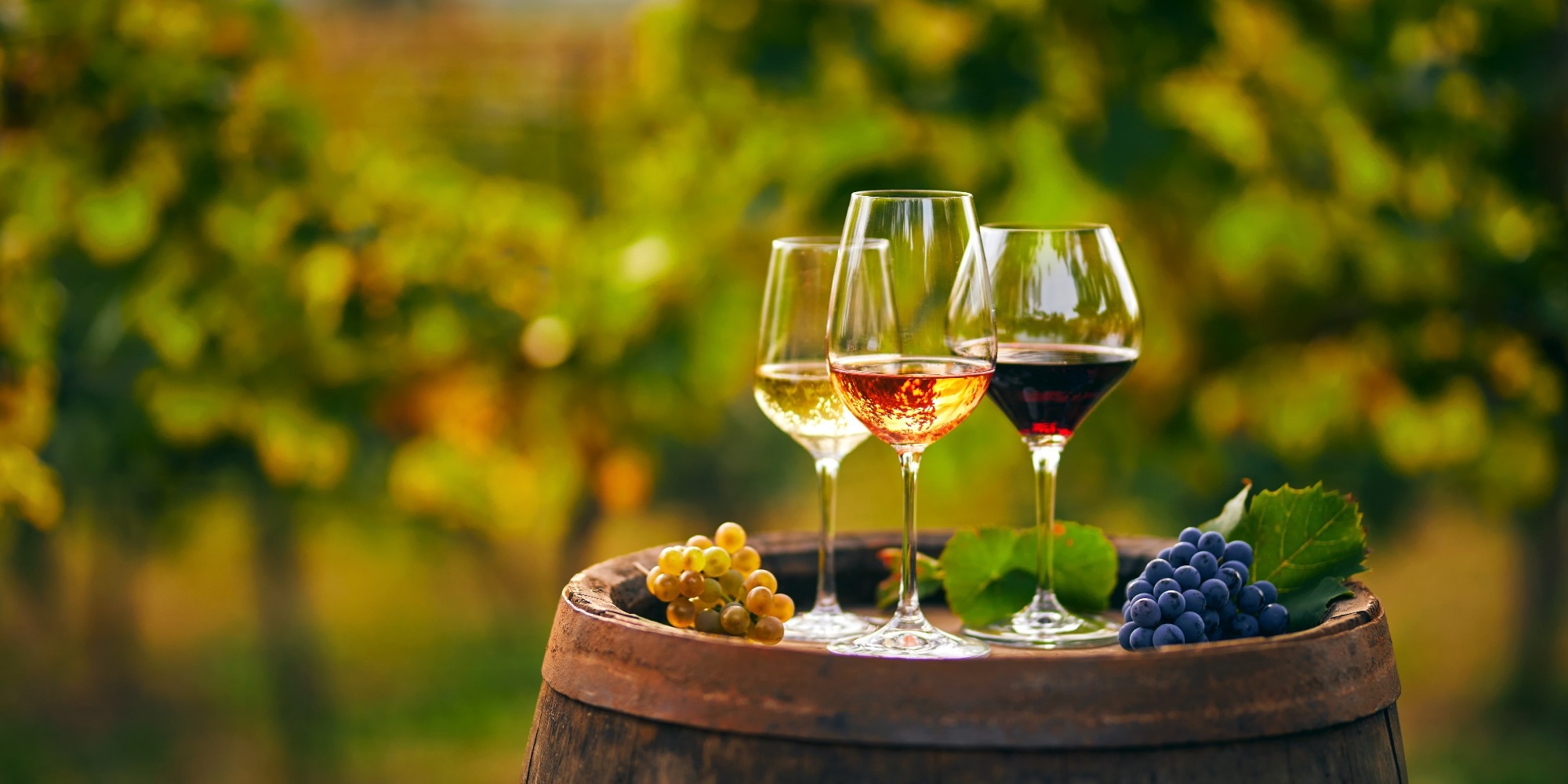 Study: The Wine Industry By-Products: Applications for Food Industry and Health Benefits. Image Credit: Rostislav_Sedlacek/Shutterstock