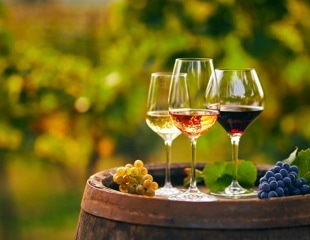 What are the health benefits and food industry applications of wine industry by-products?