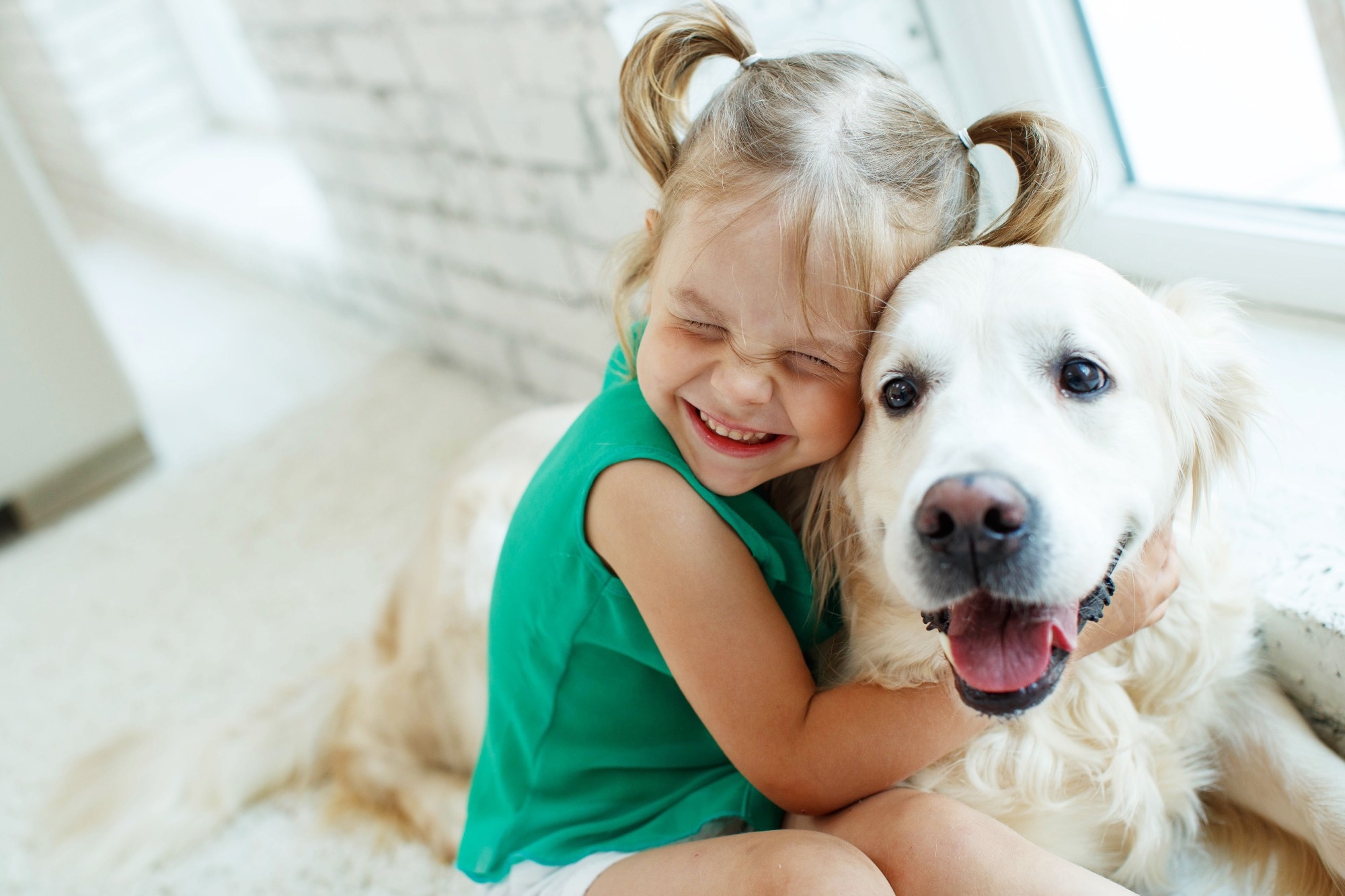 Study: Dog ownership in infancy is protective for persistent wheeze in 17q21 asthma-risk carriers. Image Credit: Nina Buday/Shutterstock