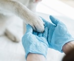 One Medicine: how human and veterinary medicine can benefit each other