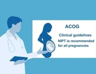 What parents need to know about prenatal tests | BGI Perspectives