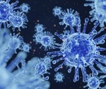 The impact of seasonal coronavirus immunity on susceptibility to SARS-CoV-2 infection and  COVID-19 vaccination