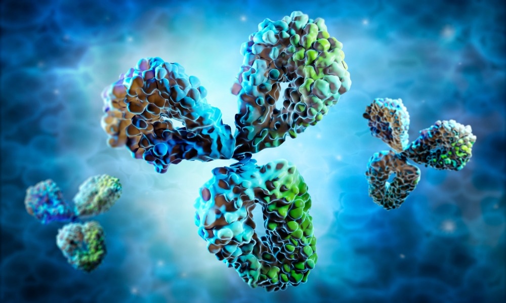 Étude : Les anticorps fonctionnels présentent une COHÉRENCE DE LA CHAÎNE LUMINEUSE.  Crédit d'image : peterschreiber.media/Shutterstock.com