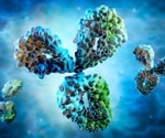 Study reports on a novel property of antibodies, light chain coherence