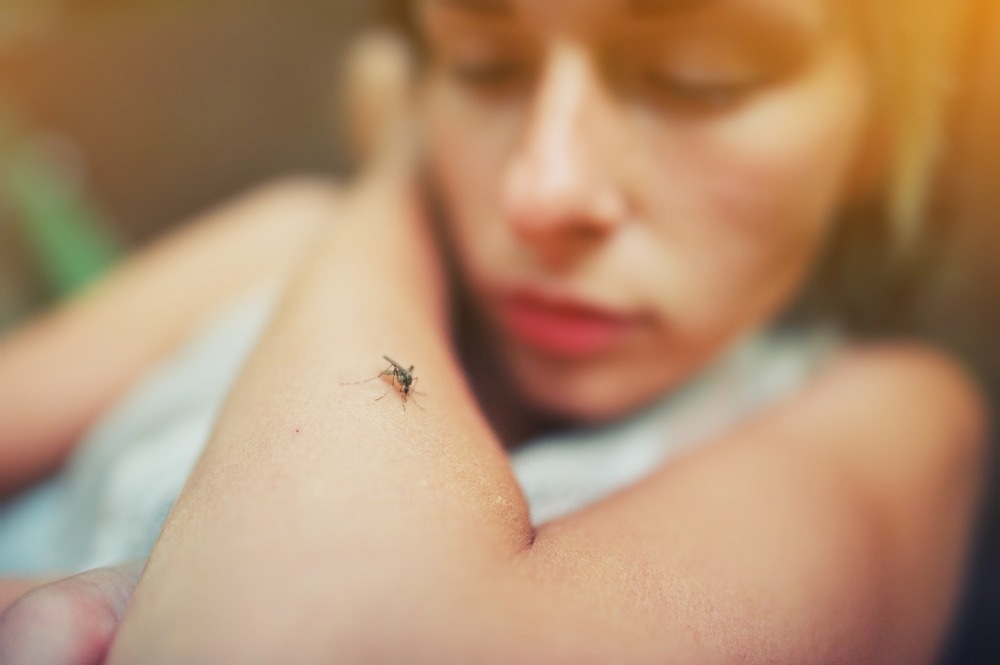 Study: Why are some people more attractive to mosquitoes than others? Image Credit: sun ok/Shutterstock
