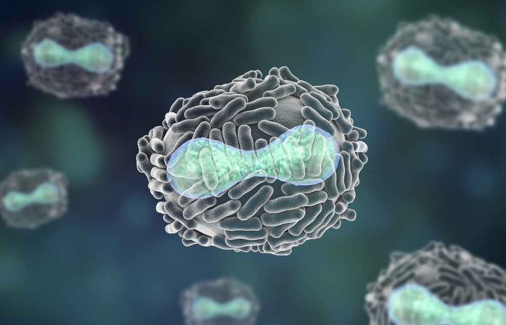 Study: ISG15 is required for the dissemination of Vaccinia virus extracellular virions. Image Credit: Kateryna Kon/Shutterstock