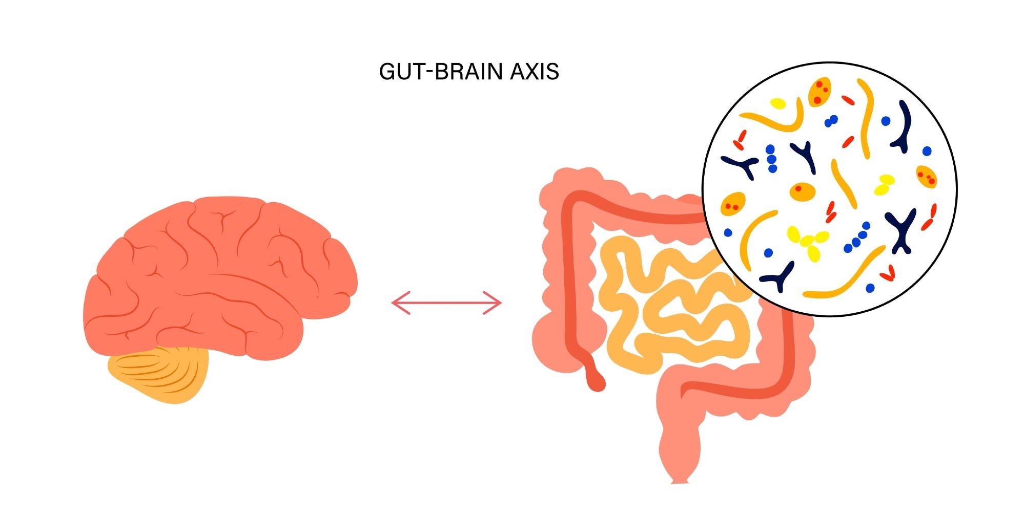 Study: The gut-to-brain axis for toxin-induced defensive responses. Image Credit: Pikovit/Shutterstock